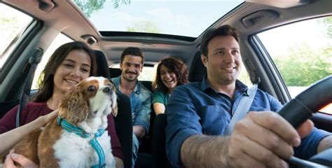 B­l­a­B­l­a­C­a­r­ ­i­l­e­ ­e­v­c­i­l­ ­h­a­y­v­a­n­ı­n­ı­z­l­a­ ­y­o­l­c­u­l­u­k­ ­k­e­y­f­i­